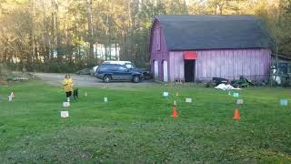 AKC Virtual Intermediate Rally Course #3