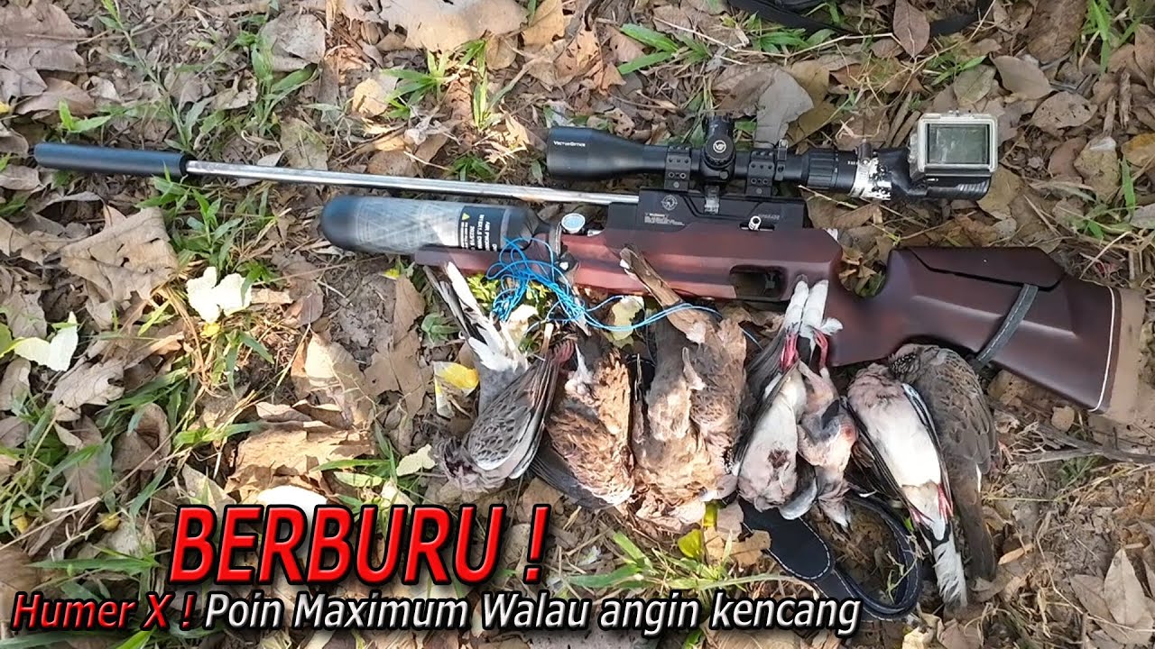 Ngerambo Bareng Humer X ! poin Maksimal ditengah Musim angin