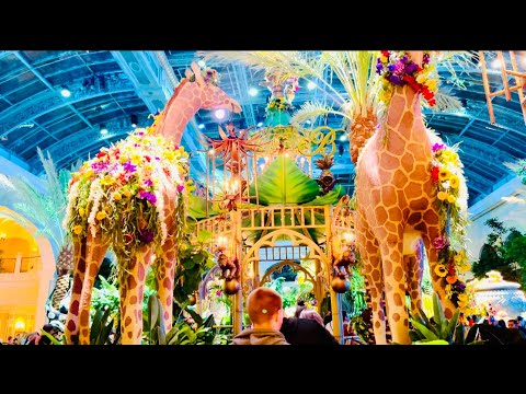 #THE JUNGLE OF DREAMS #CONSERVATORY & BOTANICAL GARDENS #BELLAGIO HOTEL LV #TRAVELS #Laurel #4K-UHD