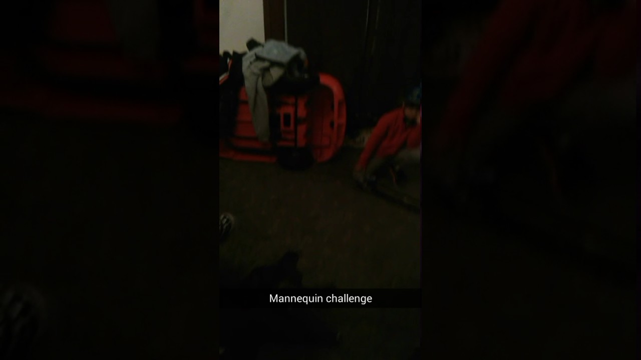family matters Mannequin challenge