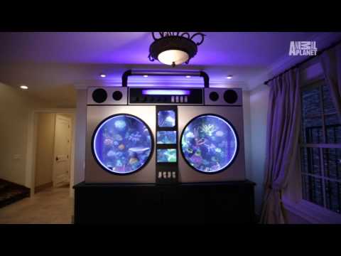 Jimmy Butler's 6000 Lb Boombox Fish Tank