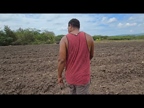 Preparing land to do some great commercial farming farming is the way to go