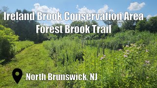 Ireland Brook Conservation Area - Forest Brook Trail - NJ State Park Series Wealth