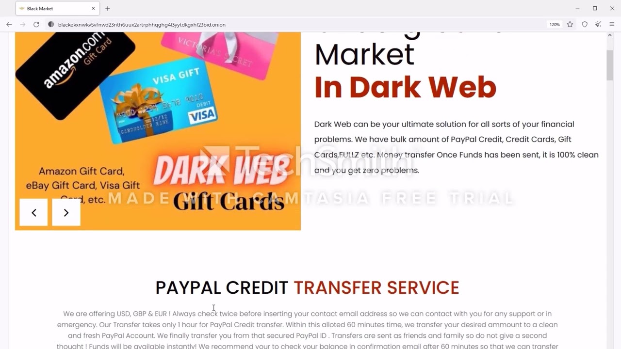 Dark Web PayPal Money Transfer Explained