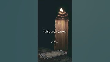 إِنَّكَ لَا تَهْدِي مَنْ أَحْبَبْتَ || سورة القصص || علي جابر