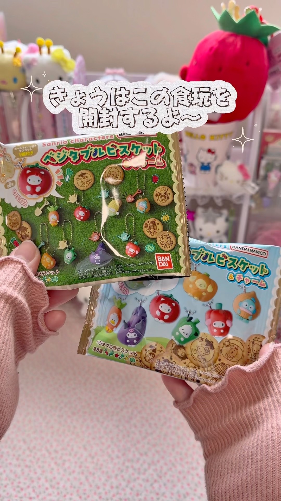 Sanrio] New Release 6/22.ᐟ.ᐟ🍅 Unboxing 