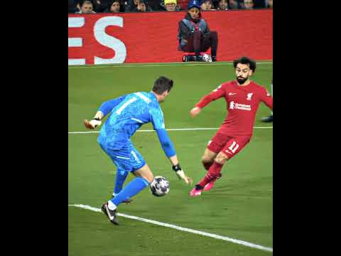 Courtois & Alisson 👏🏻