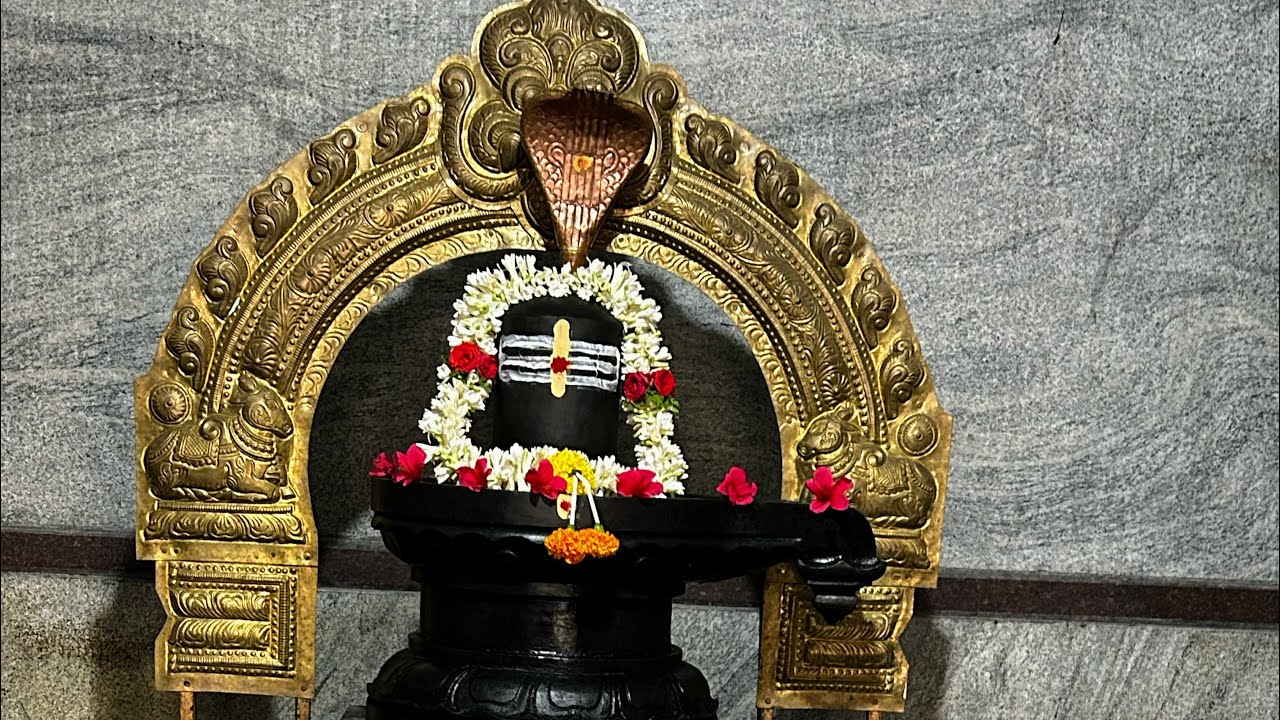 ধাম পরিদর্শন