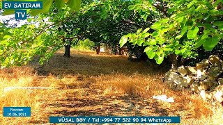 75 000 Manata 12 Sotda Bağ Evi̇ Satilirнедвижимость В Баку Ev Satiram Tv Kend Heyati 2022