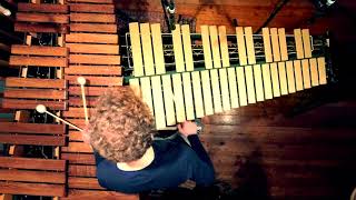 Leonhard Waltersdorfer || D ' N ' A || vibraphone & marimba for 1 player Resimi