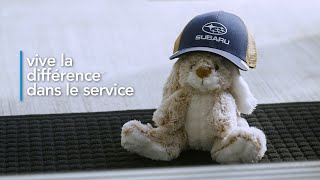 Subaru  Vive la différence dans le service | La journée du lapin