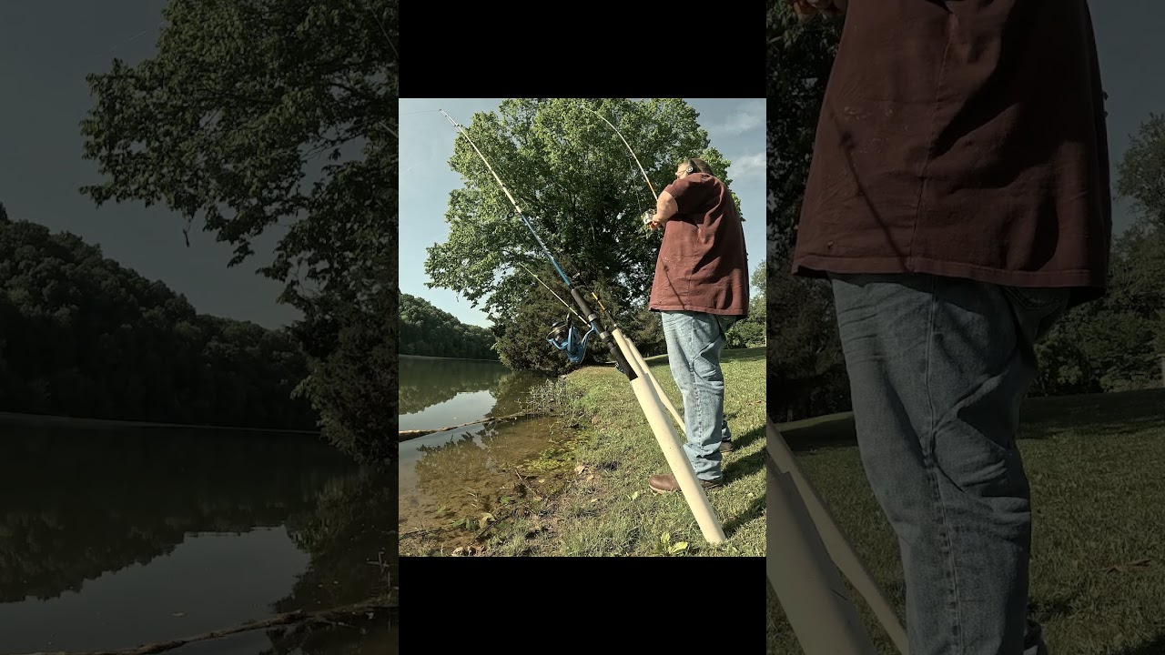 More catfishing action on Bedford Lake Tennessee! 