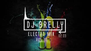 Electro Mix | VOL.11 | DJ BRELLY