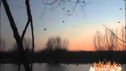 Hayes Calls Bobwire Commercial