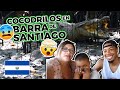 Cocodrilos en El Salvador | Barra de Santiago