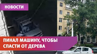 Уфимец начал пинать машину, чтобы спасти её от падающего дерева