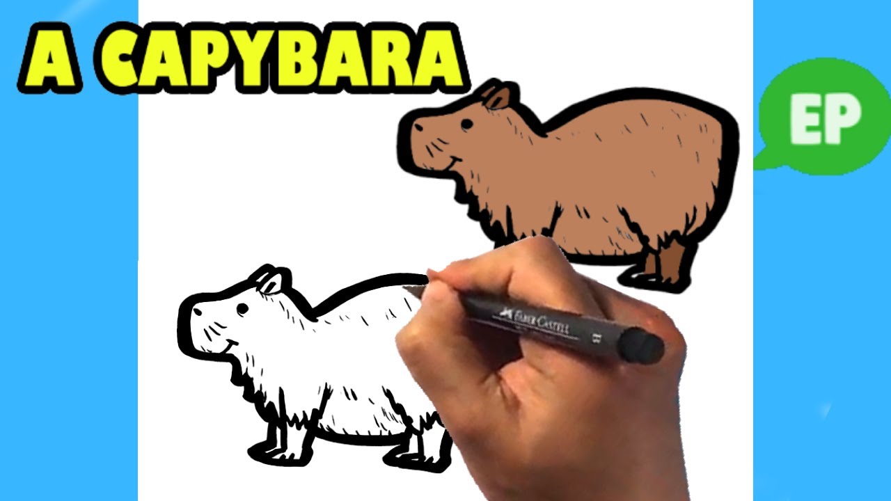 Excellent drawing of a Capybara!  Capivara, Capivaras, História natural