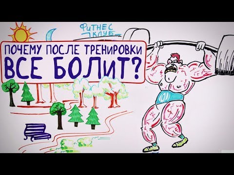 Почему после тренировки всё болит — Научпок