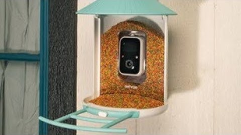 Birdfy First Bird Feeder with AI Recognition Camera