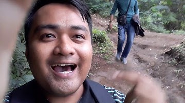 Kopi Sarasa (Curug Badak) Cisayong Tasikmalaya