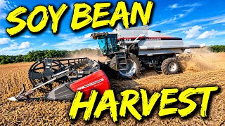 Starting soy bean harvest, Gleaner R52 & R72.