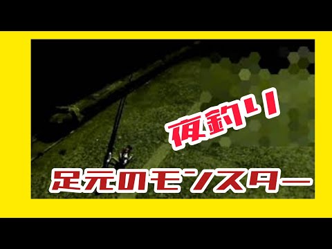 【夜釣り】二時間だけ、ぶっ込み釣りをやってみた！！足元のモンスター