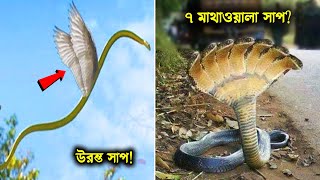 এরকম সাপ দেখেছেন? Myths behind Snakes screenshot 2