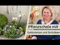 Orchideen dekorieren | Pflanzschale Sukkulenten Deko | Urban Jungle