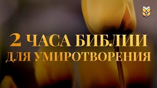 картинка: 2 часа Библии для умиротворения. Современный перевод Библии #biblevision