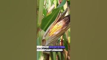 Revolutionizing Agriculture  The Power of Biotech in Crops 🌱