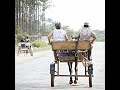 Horse Riding in Cuba - The best way to get close to nature