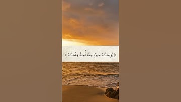 راحة نفسية #قرآن #آية #سورة #خشوع #الله#اكسبلور #ترند #تلاوة_خاشعة #صلاة #اسلام #دعاء #reels #quran