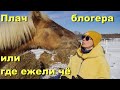 &quot;Плач блоггера&quot; или где нас найти, если вдруг...