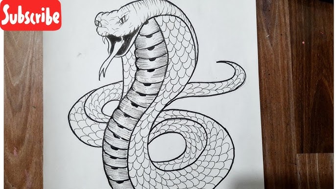 Como desenhar uma cobra realista passo a passo, #desenho #desenhar #tu