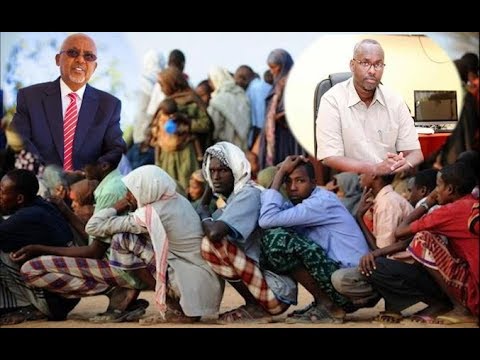 Somaliland Oo Shaacisay Tirada Dadka Qaxoontiga Ee Joogta Iyo Barnaamij Dib Loogu Habaynayo