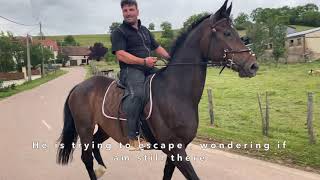 Training a scared horse with Sébastien Mourier