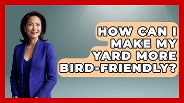 How Can I Make My Yard More Bird-Friendly? | Bird Watching Diaries