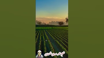 #واذكر_ربك_اذا_نسيت #المنشاوي #المنشاوي_الصوت_الباكى #قران_كريم #تلاوة_خاشعة