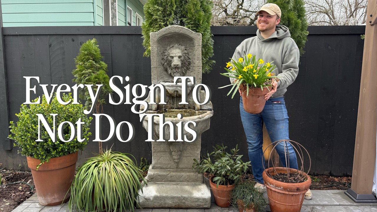 Planting Jasmine + Rearranging Containers Around the Fountain ⛲️