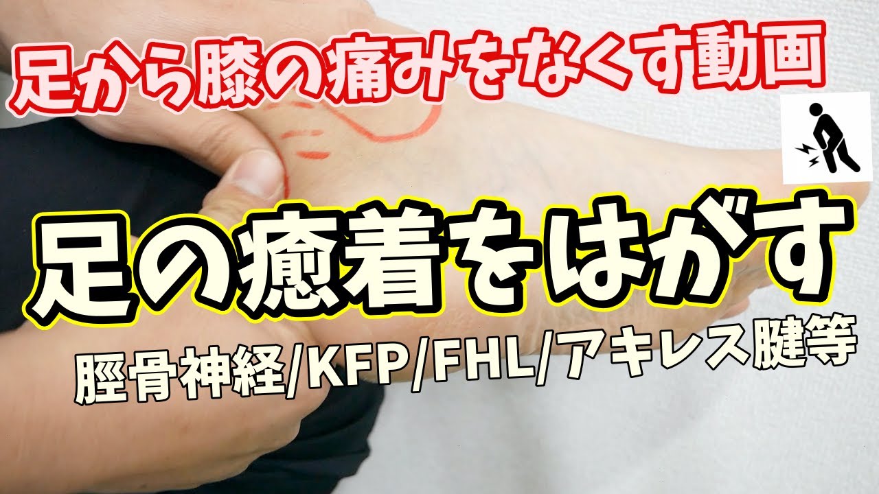【足の癒着】ひざ痛改善にはここを緩めるべし!!《東京ひざ痛専門整体院 京四郎 -KYOSIRO-》