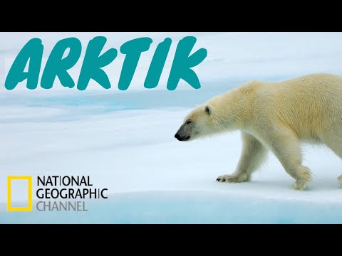 ARKTIK, DIVLJA RUSIJA, Dokumentarni Film Sa Prevodom, Nacionalna Geografija, (National Geographic)