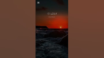سورة غافر الشيخ ياسر الدوسري #القرآن_الكريم #راحة_نفسية #اكسبلور #لايك #ترند #quran