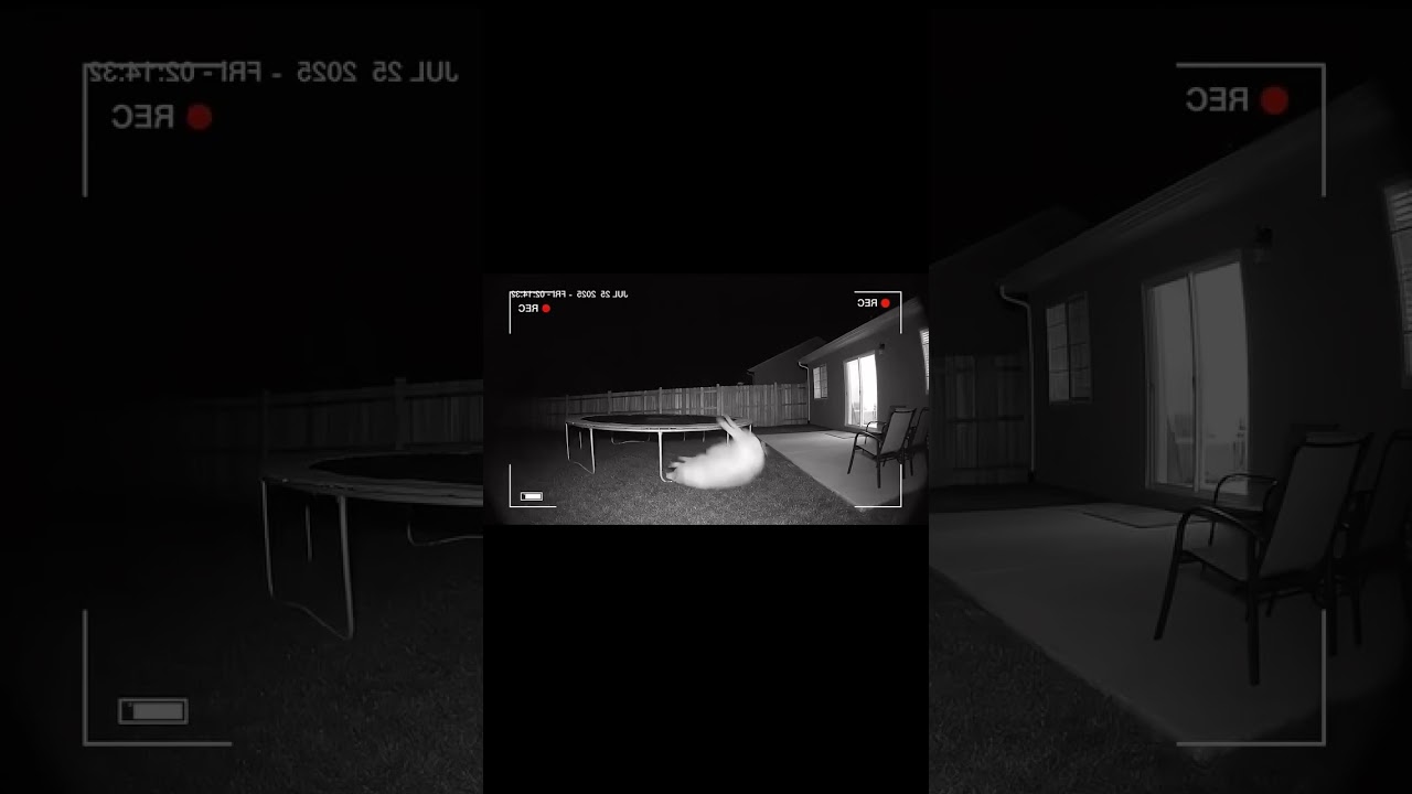 Bruh look what my camera caught #funny #shorts