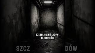 Biuro Rzeczy Nietypowych: Sekcja Przejść #1 - Incydent w Miłoszycach.