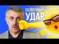 Тепловой и солнечный удар - Школа доктора Комаровского