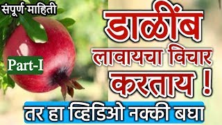 डाळिंब लावायचा विचार करताय तर हा व्हिडिओ नक्की बघा ! #Pomegranate farming information