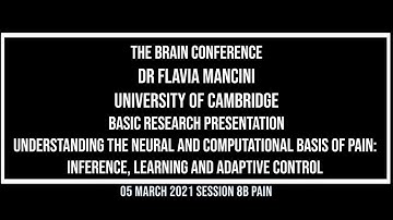 The Brain Conference 2021: Basic Research presentation: Flavia Mancini