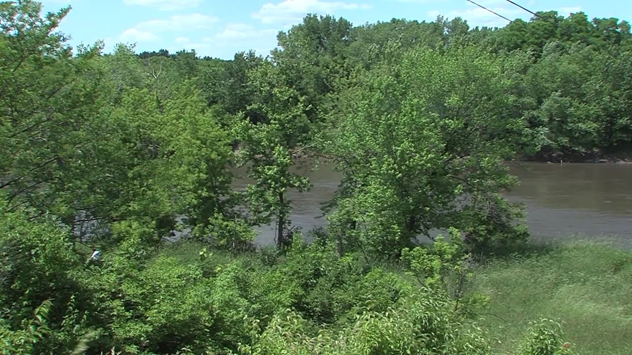 Water rescue at Brown's Woods