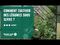 Tuto comment cultiver des lgumes sous serre   jardinerie gamm vert