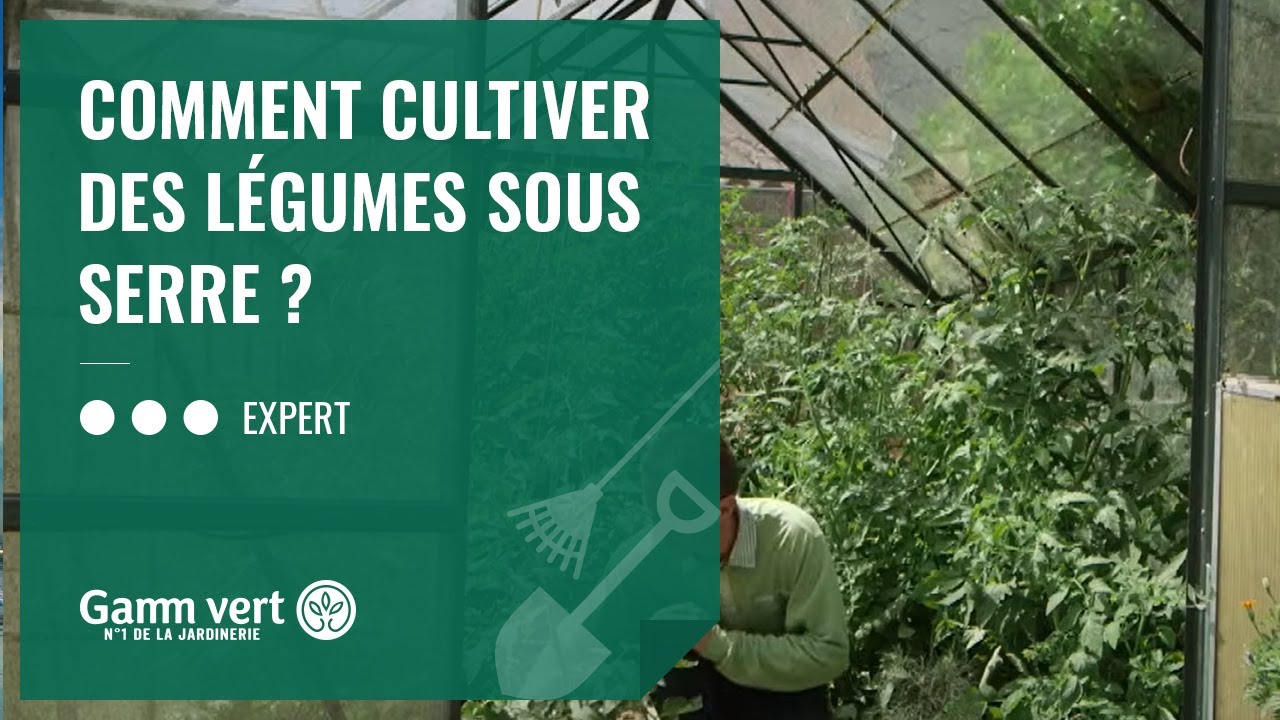 Comment assurer la sécurité des enfants au jardin ? - Gamm vert